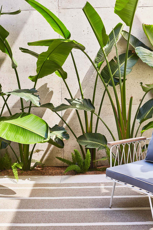 OLYMPIA PIEDRA & MARFIL