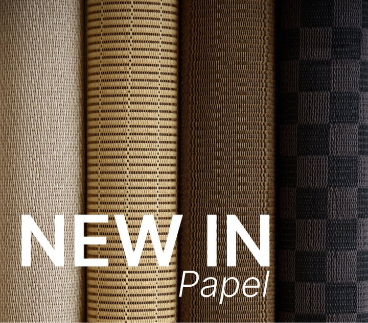 Capsula Papel